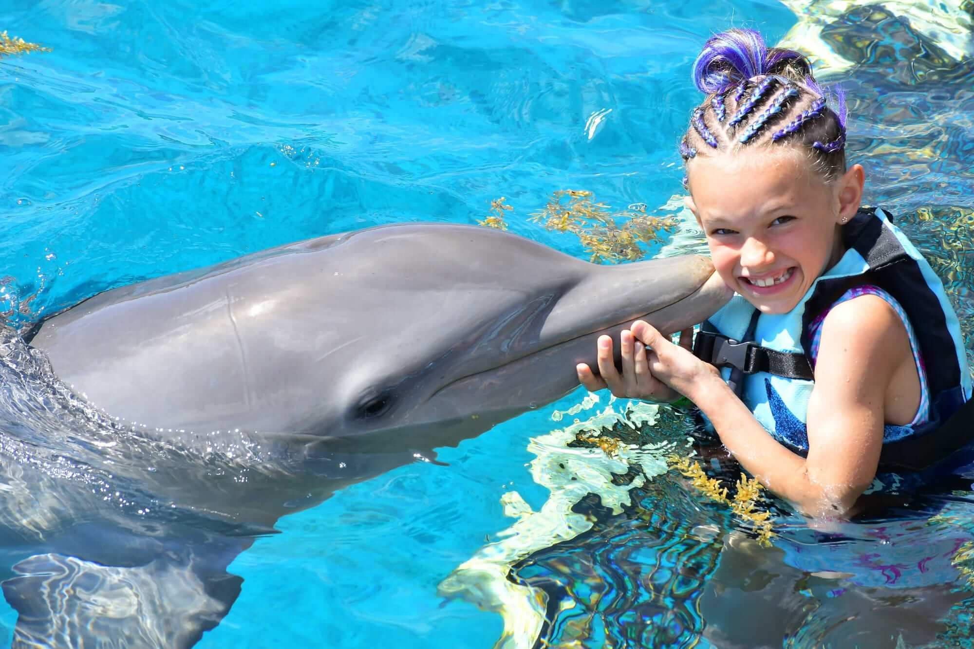 Our daughter meeting a dolphin